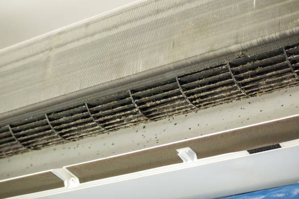 Best HVAC Air Duct Cleaning  in South Fallsburg, NY